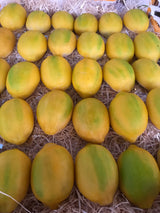 Frutta Martorana artigianale modellata a forma di limoni